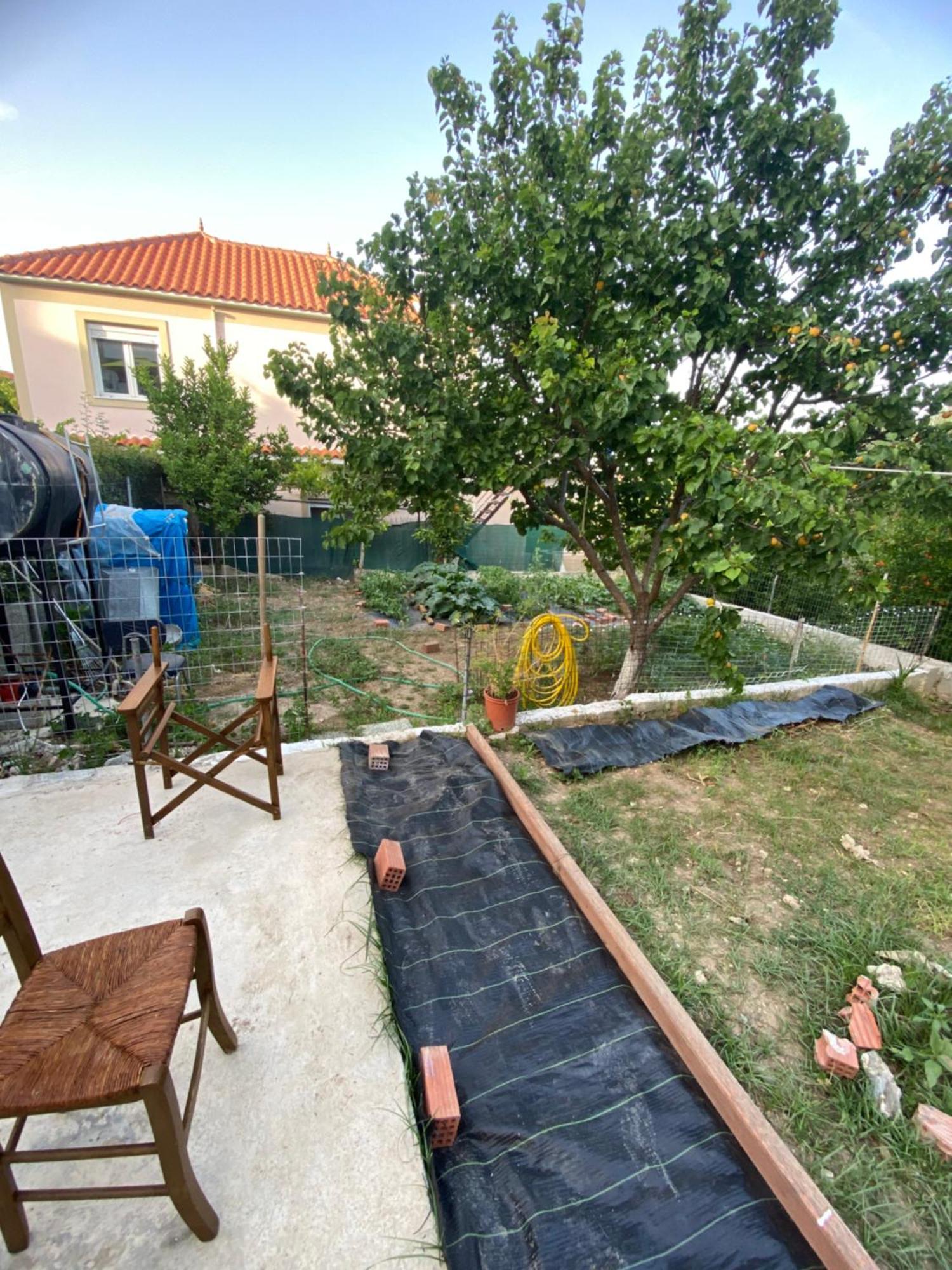 Garden Apartment Mjt Μυτιλήνη Εξωτερικό φωτογραφία
